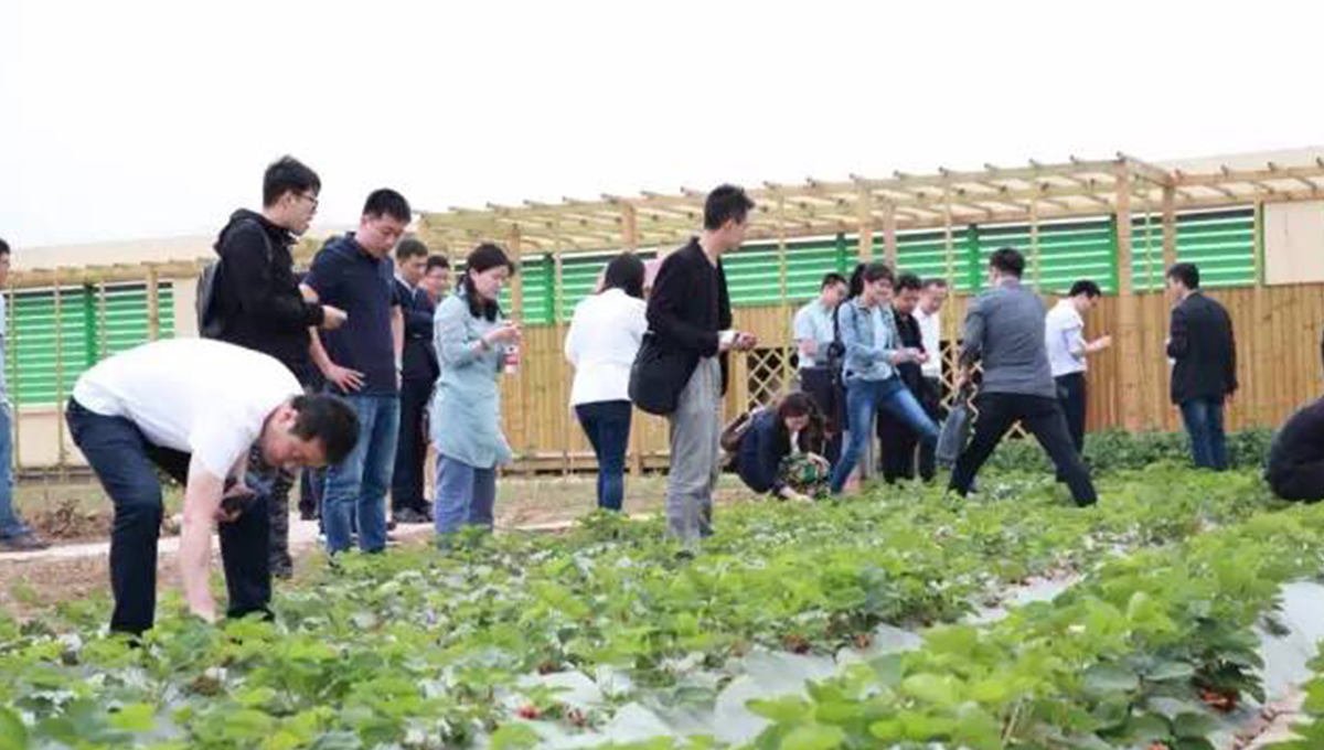 “2017年第五季室內(nèi)設(shè)計(jì)-中國(guó)行”青島站 | 驚“天”動(dòng)地，“鋒”起云涌 7