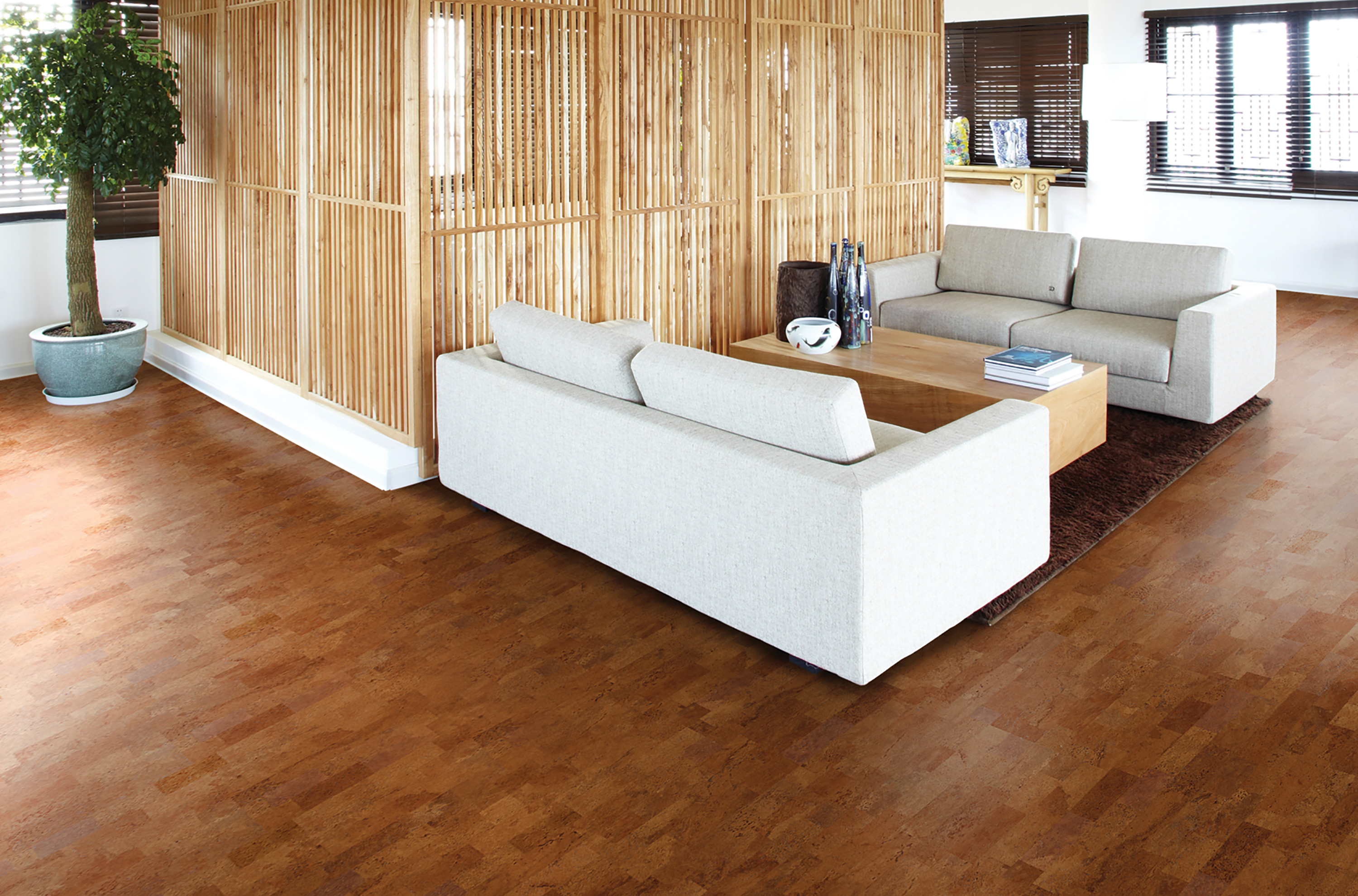 要環(huán)保地板,也要舒適溫馨,更要時尚色彩! c93g001 要環(huán)保地板,也要舒適溫馨,更要時尚色彩! c93g001