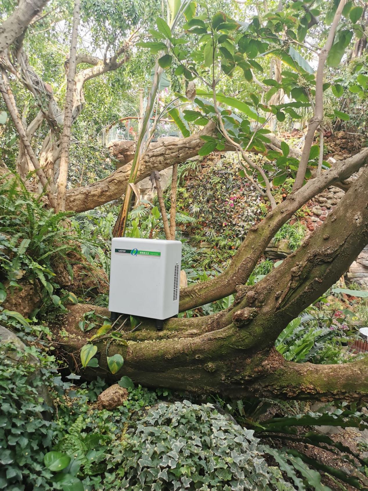 居家也要暢快呼吸，得高教你實現科學補氧！ image3