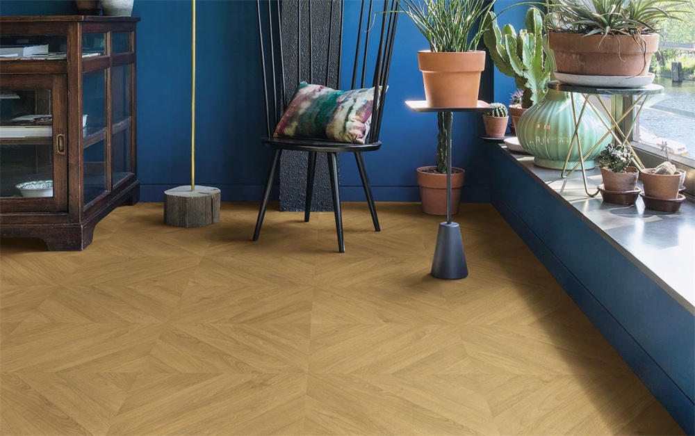 如何不限花期，于家中賞“花”？Come in！ image1