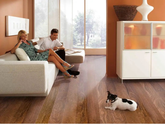 減到寶了！得高新春家裝補貼火熱進行中！ image