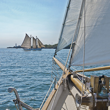 第十五卷,揚帆起航8-526,進口地板